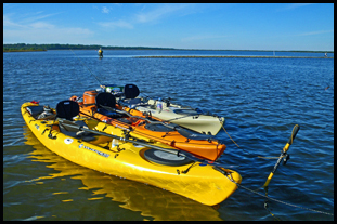 NSFA fall kayak outing Oct. 10