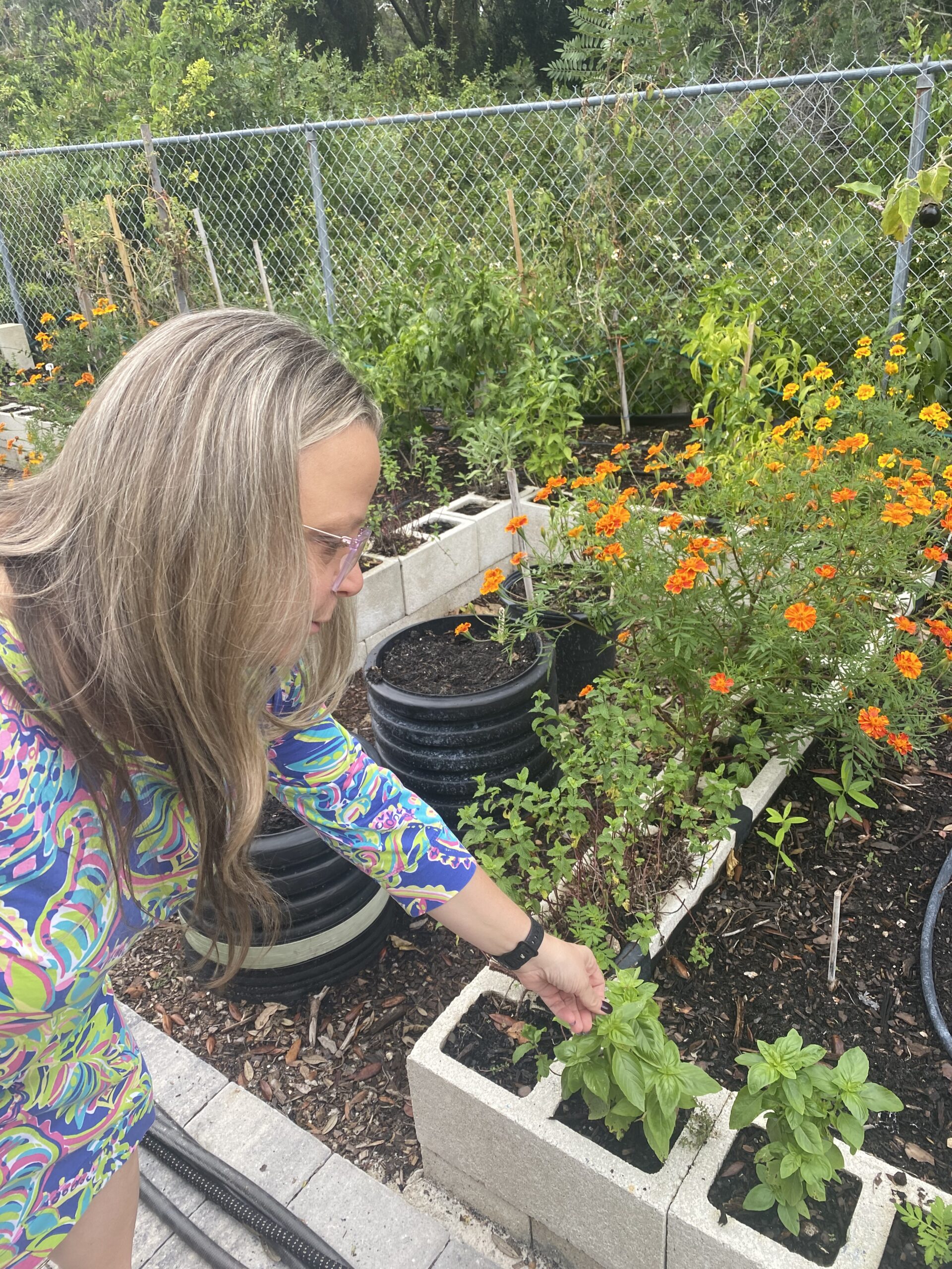 Labor of love blooms into food source for Nassau County families