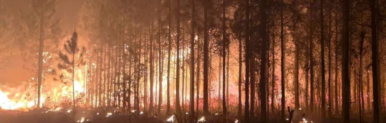 Inside Nassau County’s burn ban as drought intensifies Flames from a 500-acre wildfire light up the treeline near Connor-Nelson Road in West Hilliard early Sunday, April 19. Photo courtesy Florida Forest Service