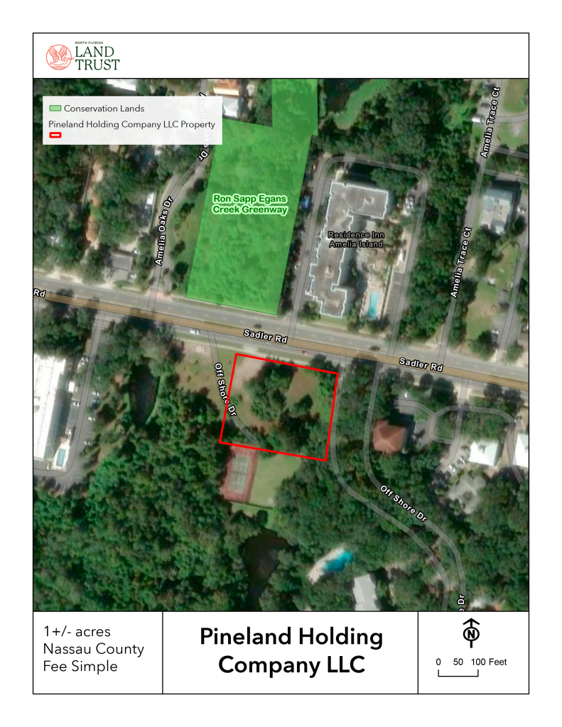 The 1-acre Pineland Holding Company property, outlined in red, sits on Sadler Road across from the Ron Sapp Egans Creek Greenway, shown in green. Map courtesy North Florida Land Trust