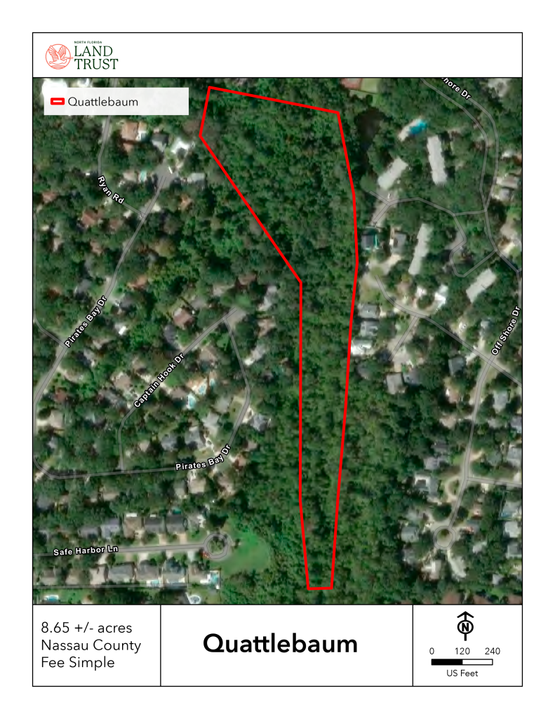 The nearly 9-acre Quattlebaum property, outlined in red, is almost entirely wetlands along Egans Creek. Sherry Quattlebaum donated the land to the city of Fernandina Beach through North Florida Land Trust. Map courtesy North Florida Land Trust